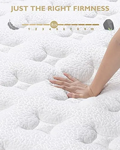 BedStory Queen Mattress - Made in USA - 14 Inch Hybrid Mattress Medium Feel, Individually Wrapped Coils for Pressure Relief & Motion Isolation, 80”x60”x14”