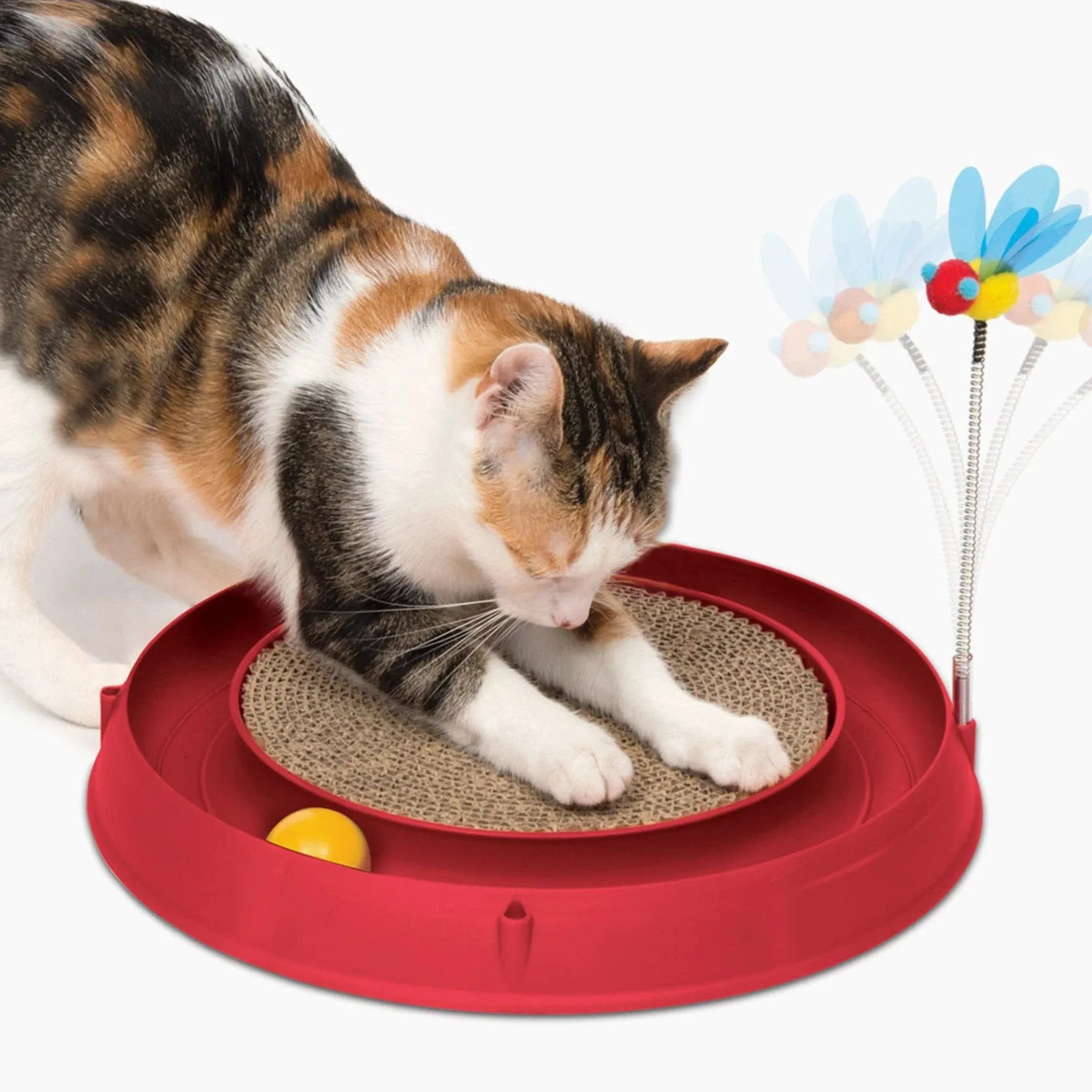 CATIT Circuit Ball Toy with Scratcher