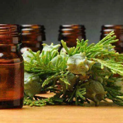 CYPRESS OIL 10ml, antitussive, strong sedatives, nerve disorders, hemorrhoids