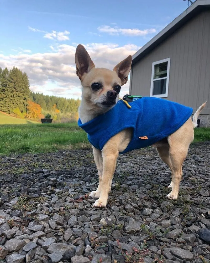 Gooby - Zip Up Fleece Vest, Fleece Jacket Sweater with Zipper Closure and Leash Ring, Blue, Large