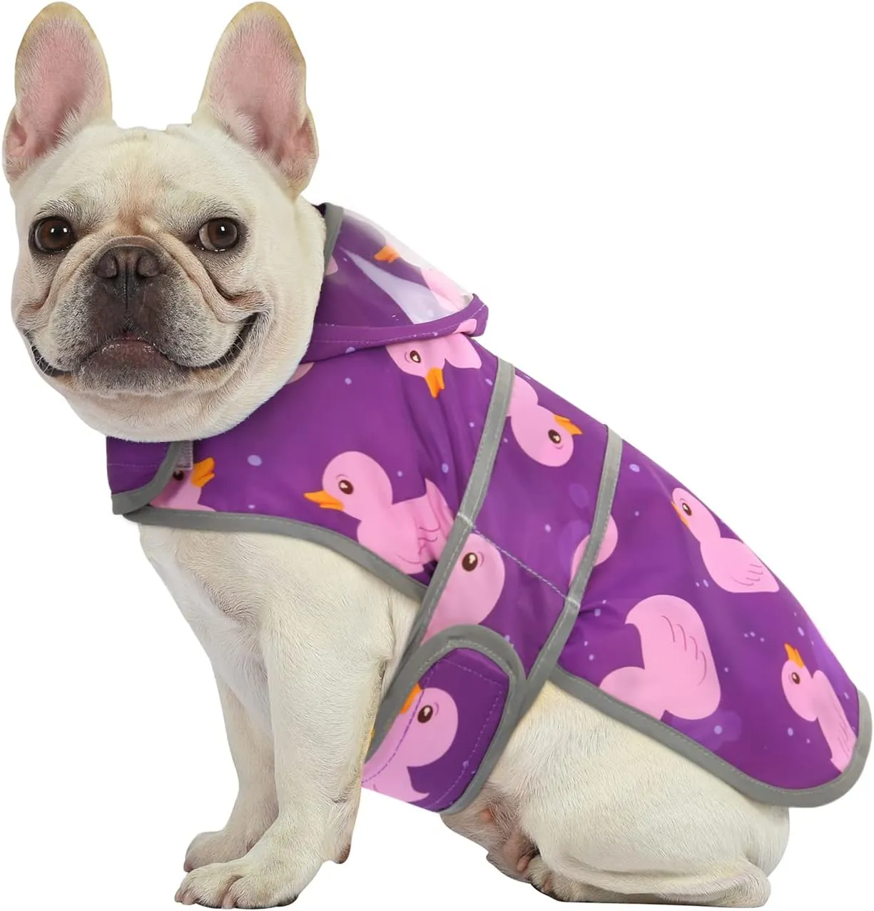 HDE Dog Raincoat with Clear Hood Rain Jacket Poncho for Small Medium Large Dogs Ducks Purple - M