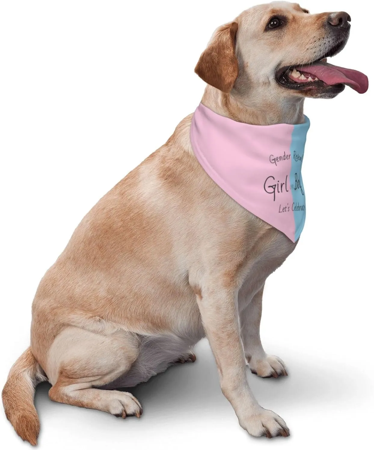 He Or She What Will It Be? Gender Reveal/Baby Announcement Dog Bandana,Pet Neckerchief for Pets Daily Wear Photo Prop Party Supplies (Gender Reveal)
