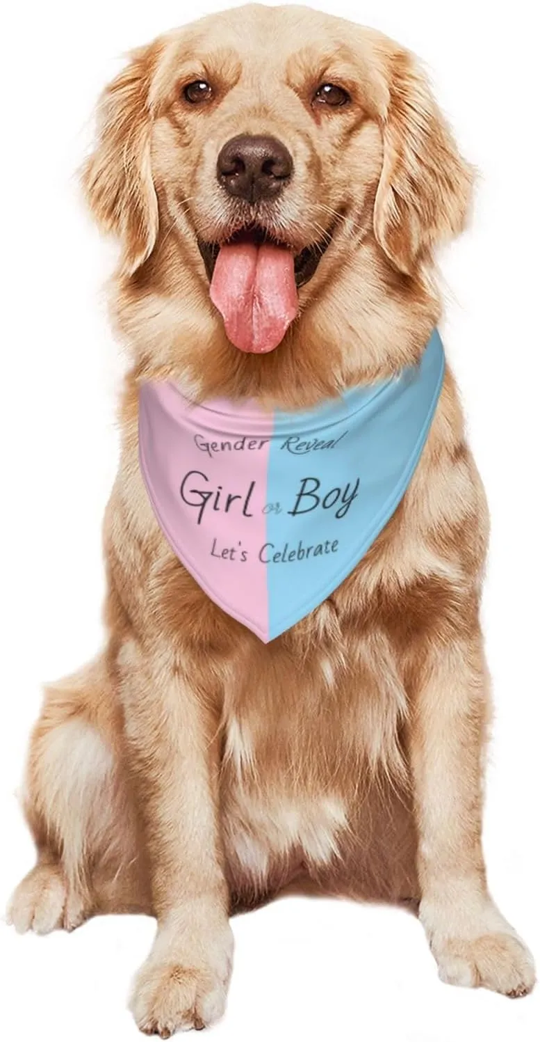 He Or She What Will It Be? Gender Reveal/Baby Announcement Dog Bandana,Pet Neckerchief for Pets Daily Wear Photo Prop Party Supplies (Gender Reveal)