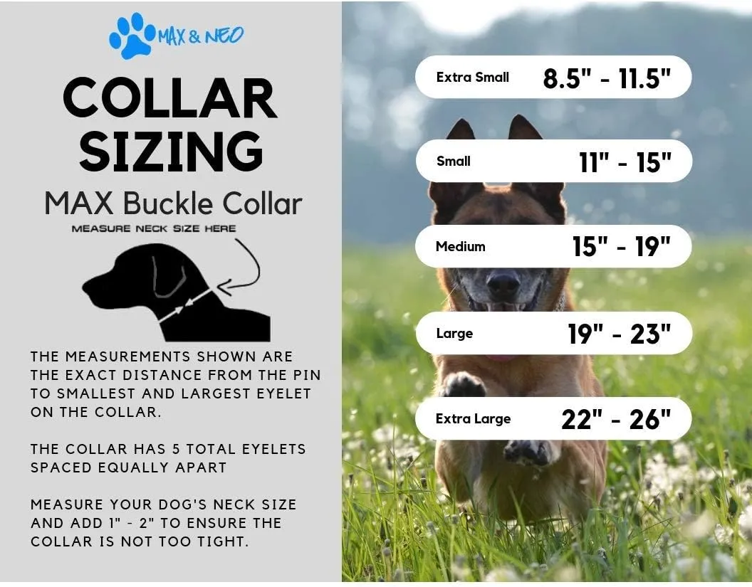 Max and Neo MAX Reflective Metal Buckle Dog Collar - We Donate a Collar to a Dog Rescue for Every Collar Sold (Medium, Black)