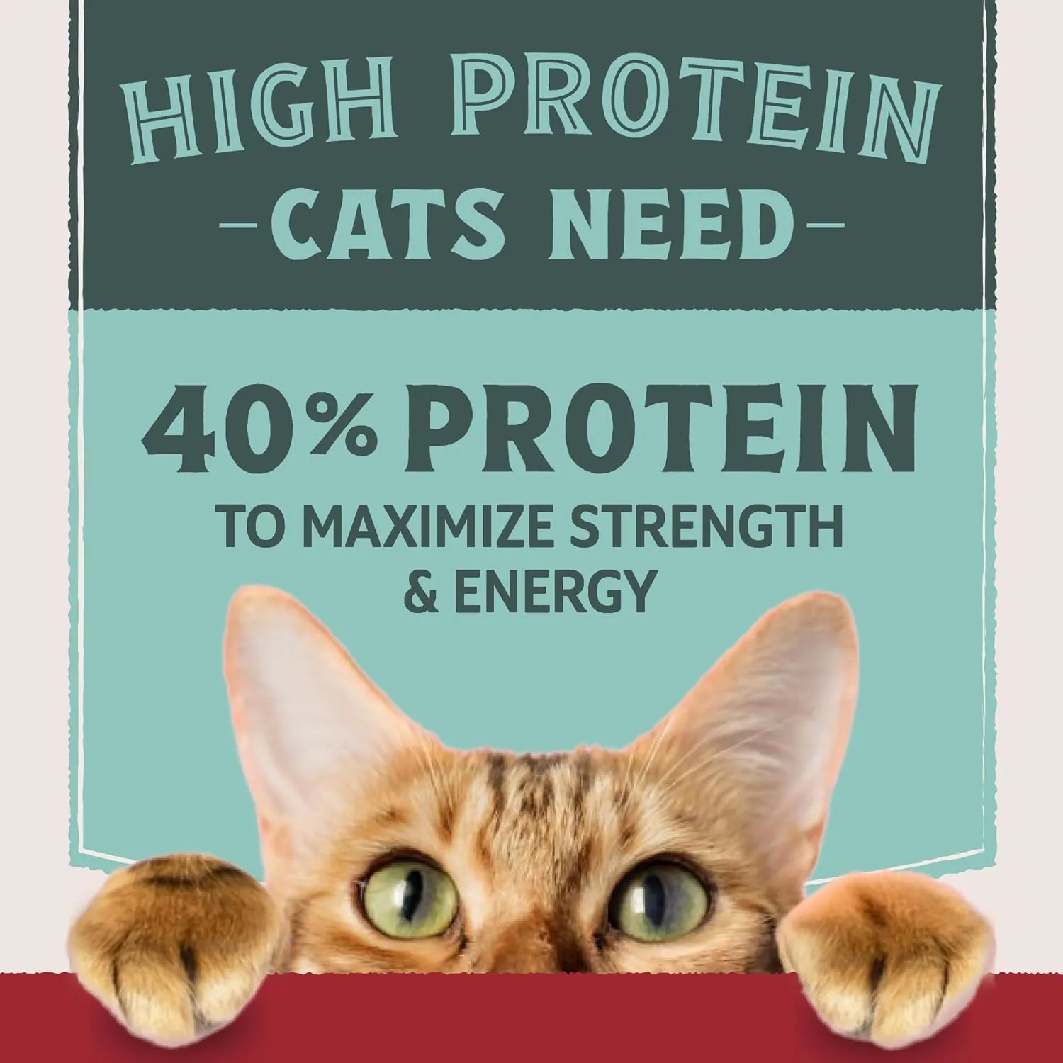 Natural Balance Ultra Protein Dry Cat Food, Real Chicken & Chicken Meal Recipe with Protein-Rich Organs - 3 lbs.