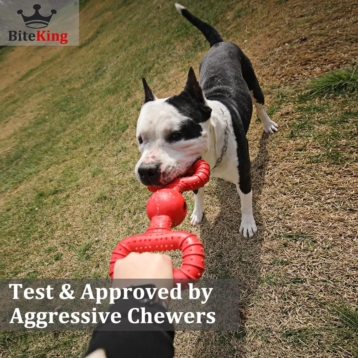 Natural Rubber Dog Toys for Large Aggressive Chewers - Lifetime Replacement - Tough Tug War Dog Toy for Large Dogs Tooth Clean, Red