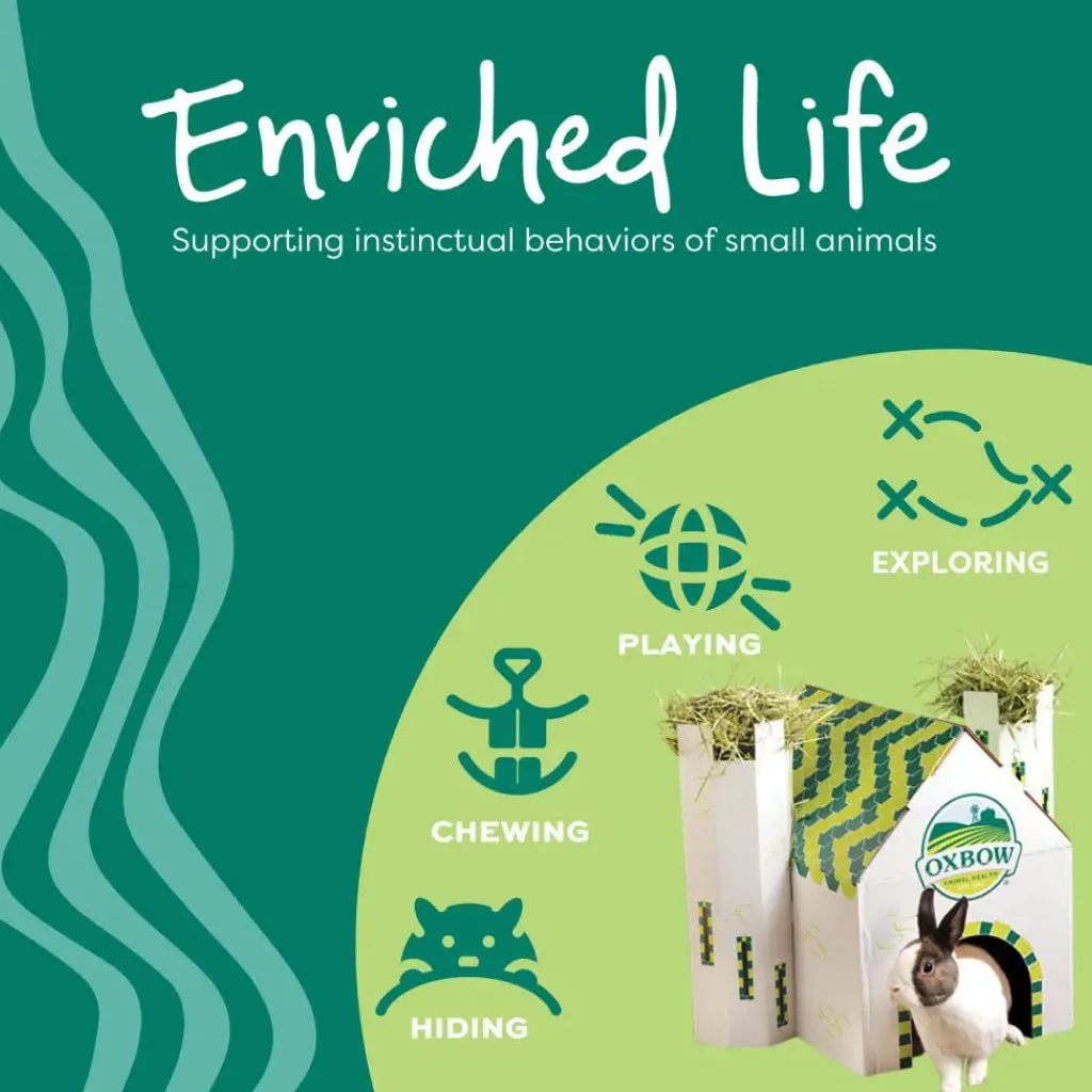 Oxbow Enriched Life Run & Hide Small Animals Toys