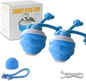 Power Tail 2.0 Dog Toy - Smart Interactive Ball with 3 Sport Modes, Auto-Dodge, Teeth Cleaning Rope Tail, USB-C Rechargeable Motion Activate Rolling Ball, Durable ABS TPR for Medium & Small Dog (2Set)