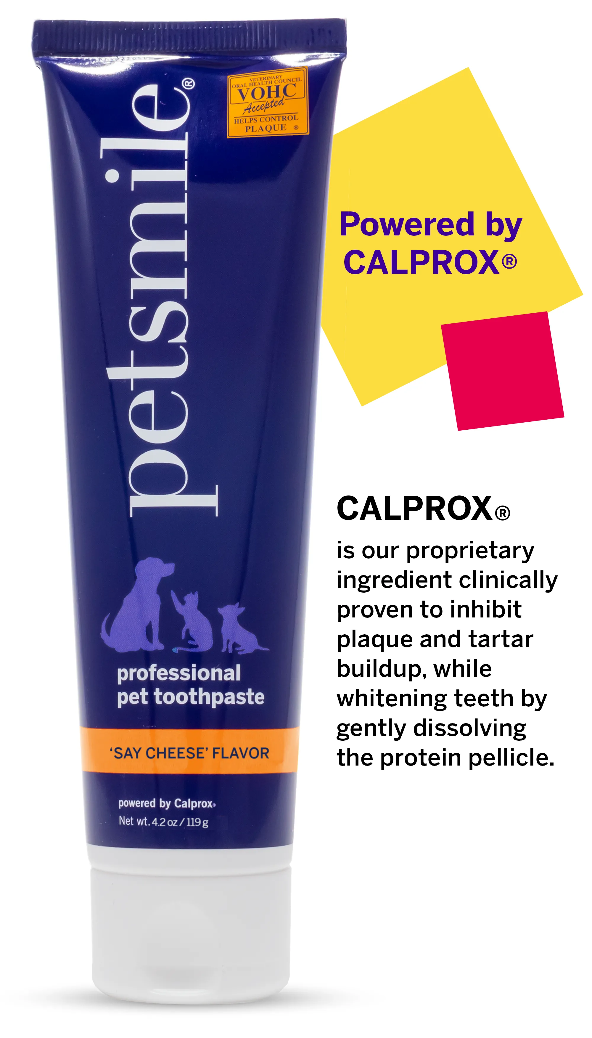 Professional Pet Toothpaste - Say Cheese - Large