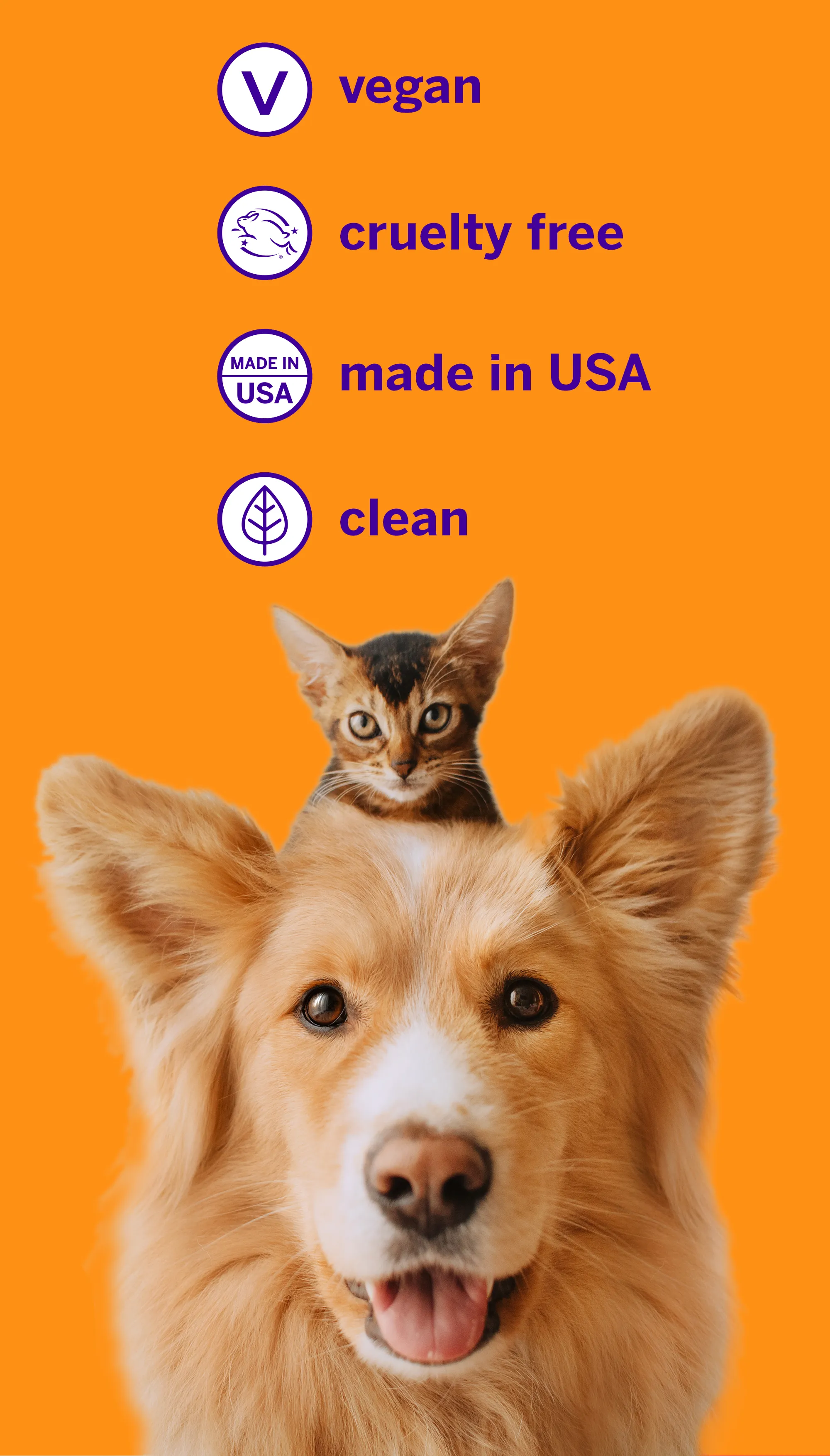 Professional Pet Toothpaste - Say Cheese - Large