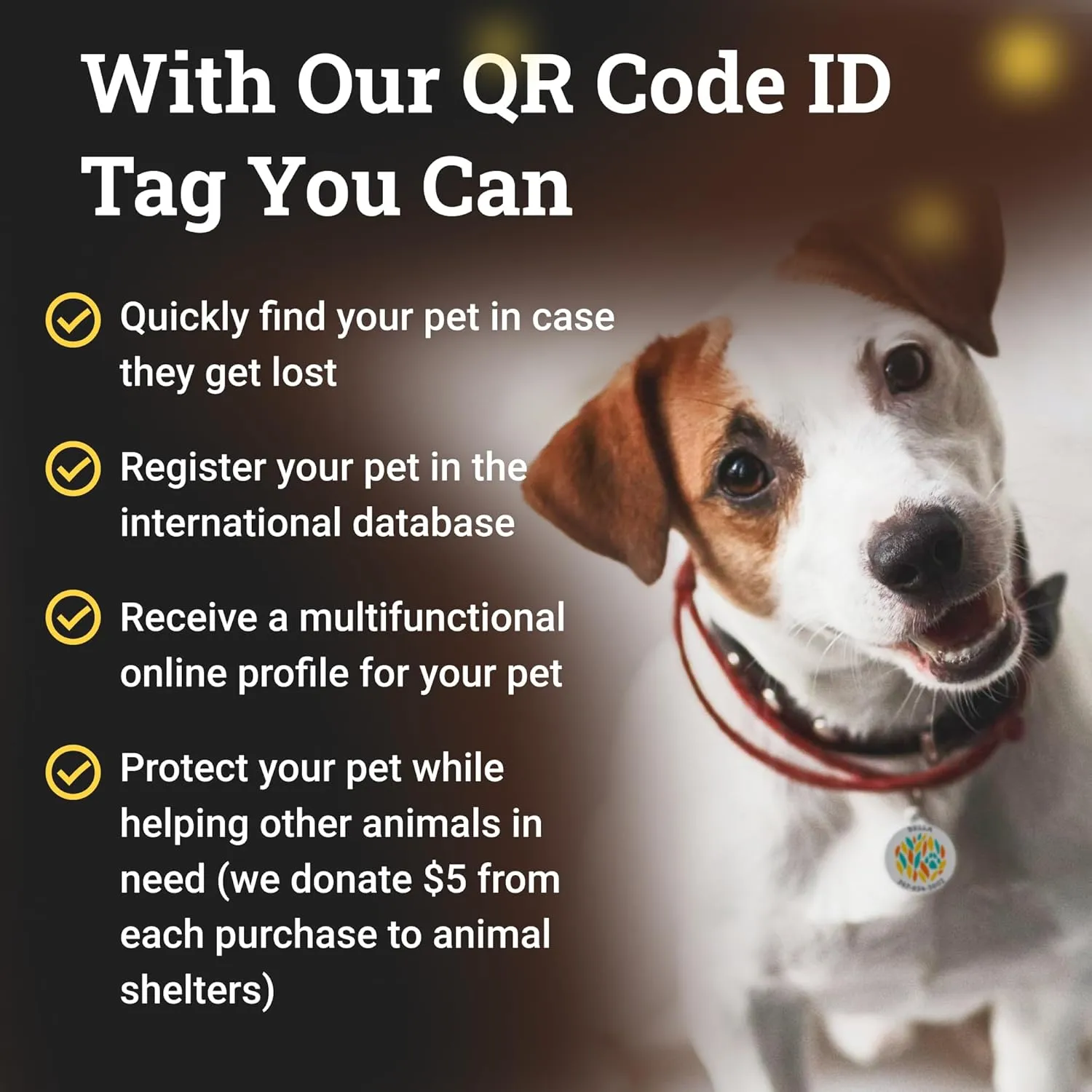 QR Code Dog Tag Silent Id Pet Tags Personalized Name Plate with Online Profile (Bingo Bone, Bone)
