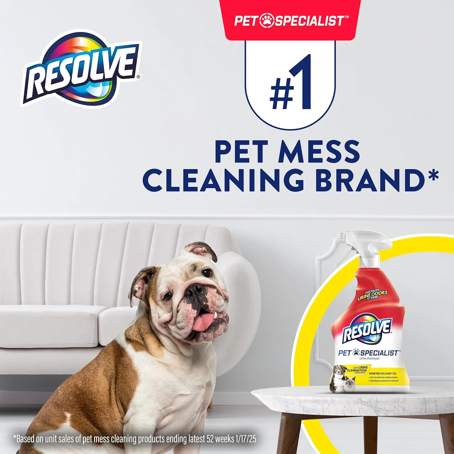 Resolve Pet Specialist Urine Destroyer Spray  Pet Stain & Odor Remover, Carpet Cleaner Solution for Cat and Dog Urine, 22 Fl Oz
