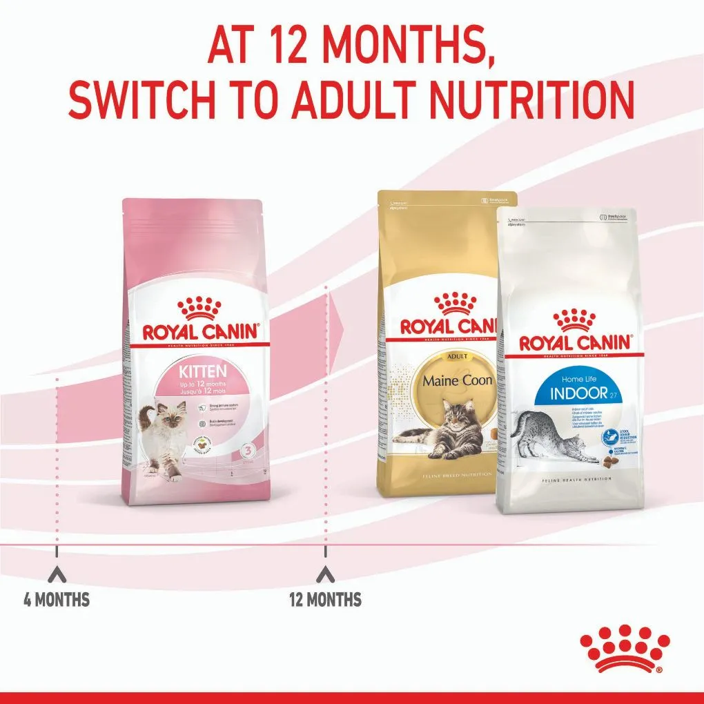 Royal Canin Kitten