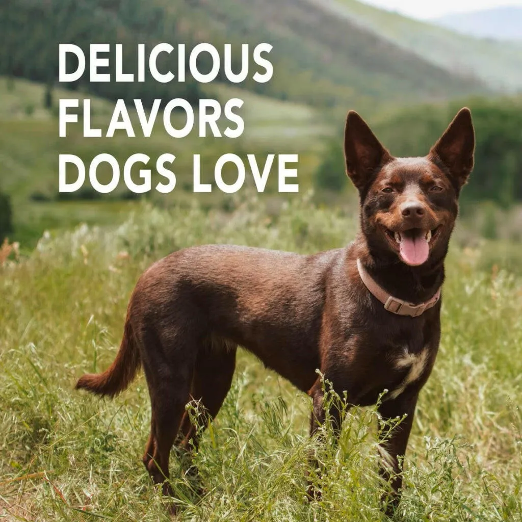 Sentry Petrodex Advanced Enzymatic Poultry Flavored Toothpaste for Dogs