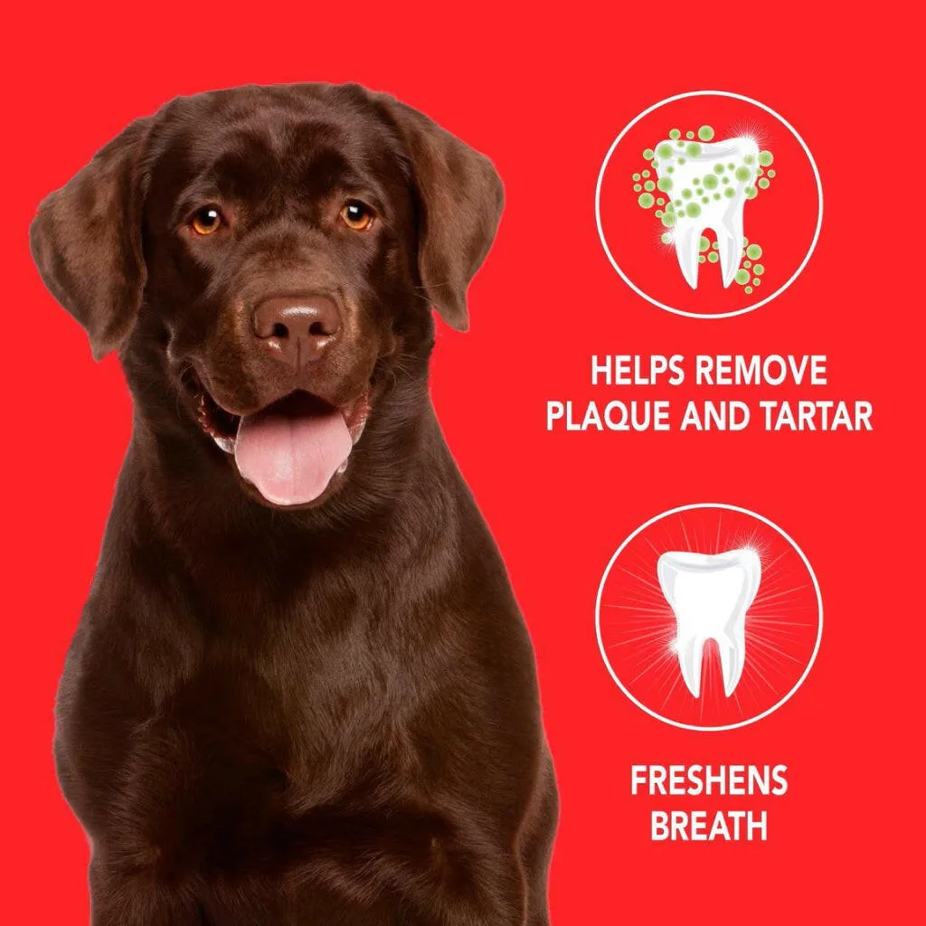 Sentry Petrodex Advanced Enzymatic Poultry Flavored Toothpaste for Dogs