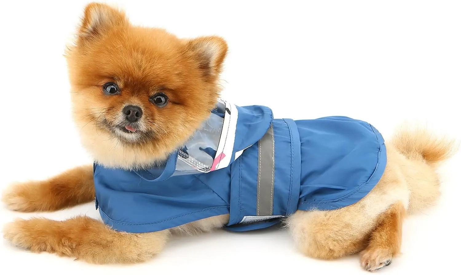 SMALLLEE_LUCKY_STORE Cute Shark Dog Raincoat with Clear Hood and Harness Hole Adjustable Waterproof Rain Jacket for Small Medium Large Dogs Boy Girl Reflective Pet Poncho, Blue, L