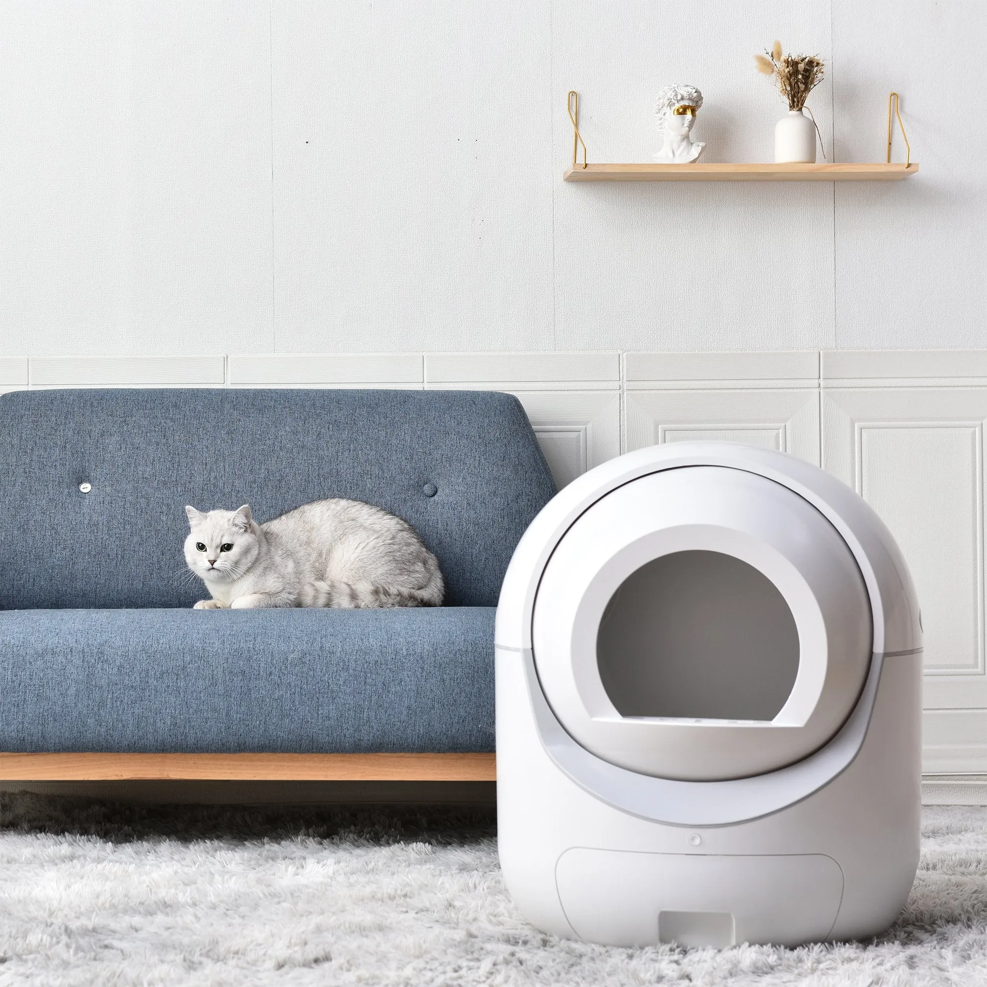 Smart Automatic Litter Box, Self -Cleaning Cat Litter Box for Multiple Cats