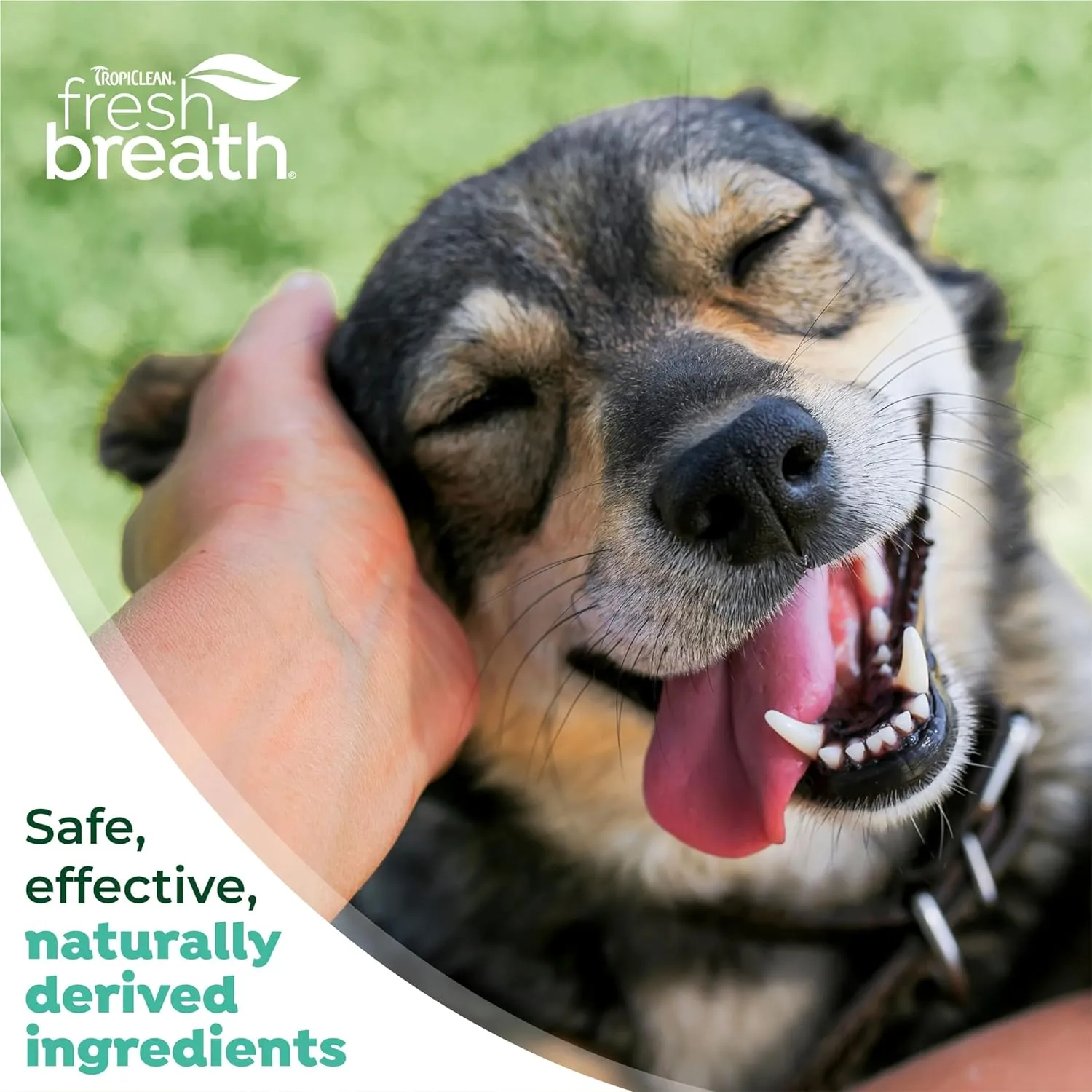 TropiClean Fresh Breath & Tartar Control Total Care System for Large Dogs | Dog Toothpaste & Brush | Dental Gel for Dogs