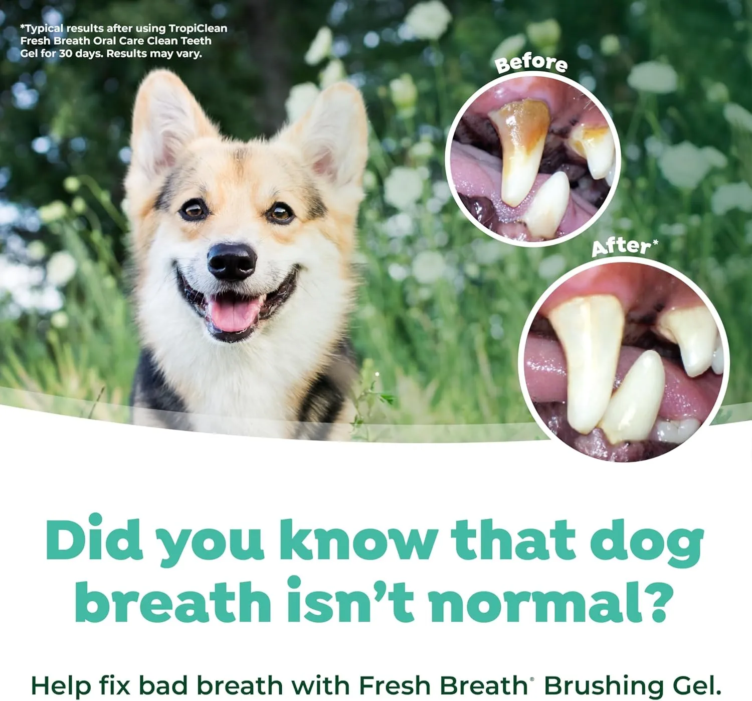 TropiClean Fresh Breath & Tartar Control Total Care System for Large Dogs | Dog Toothpaste & Brush | Dental Gel for Dogs