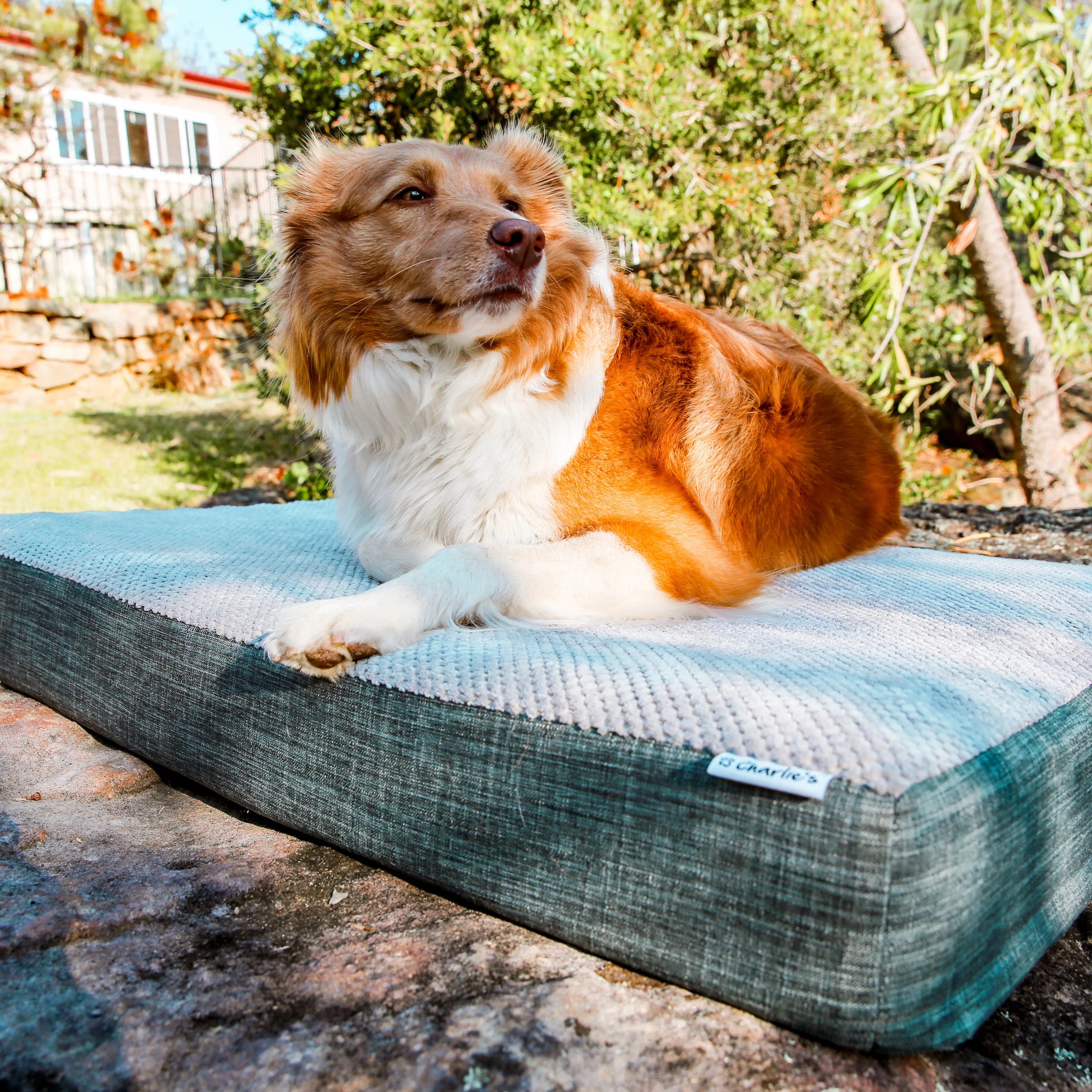 Universal Pet Mattress