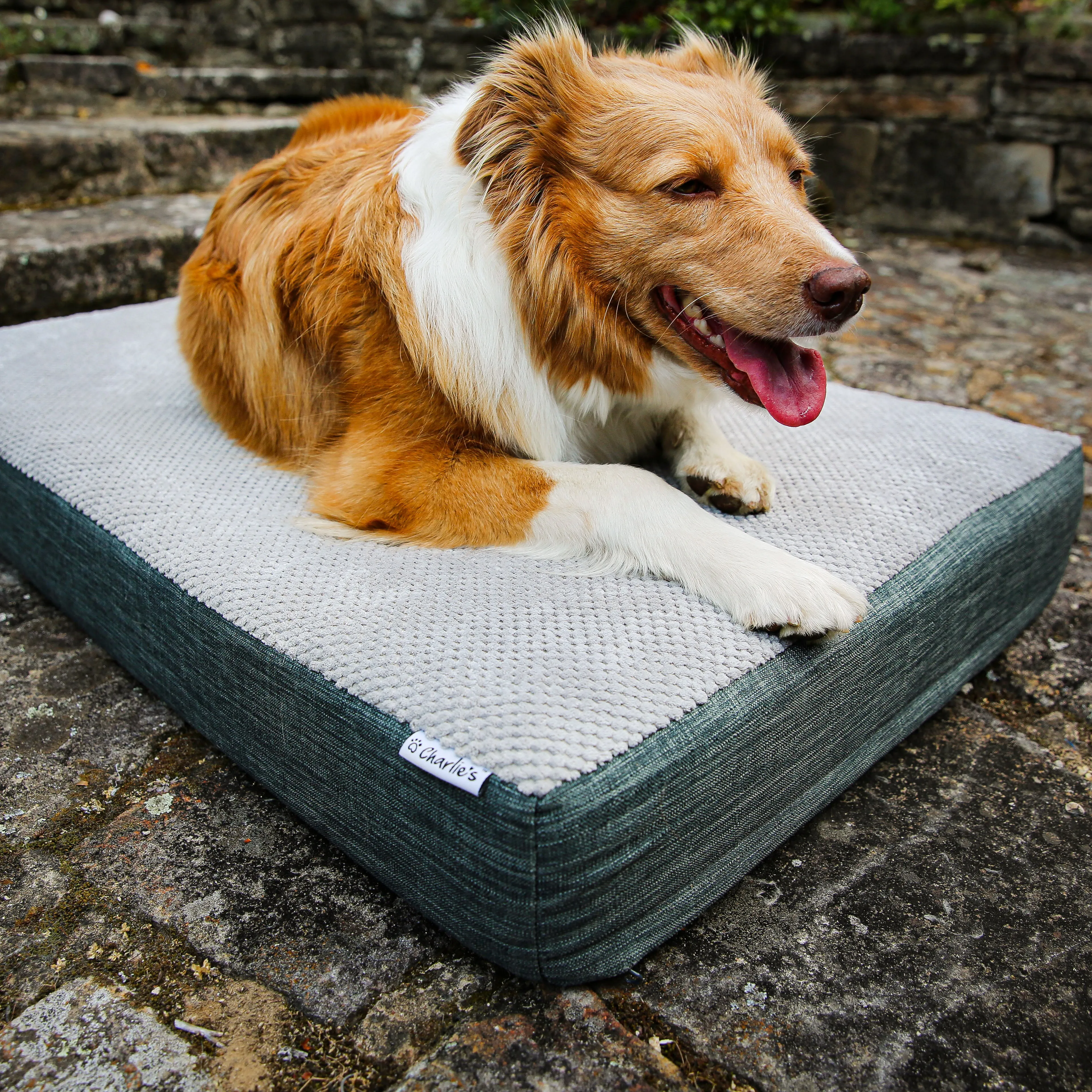 Universal Pet Mattress