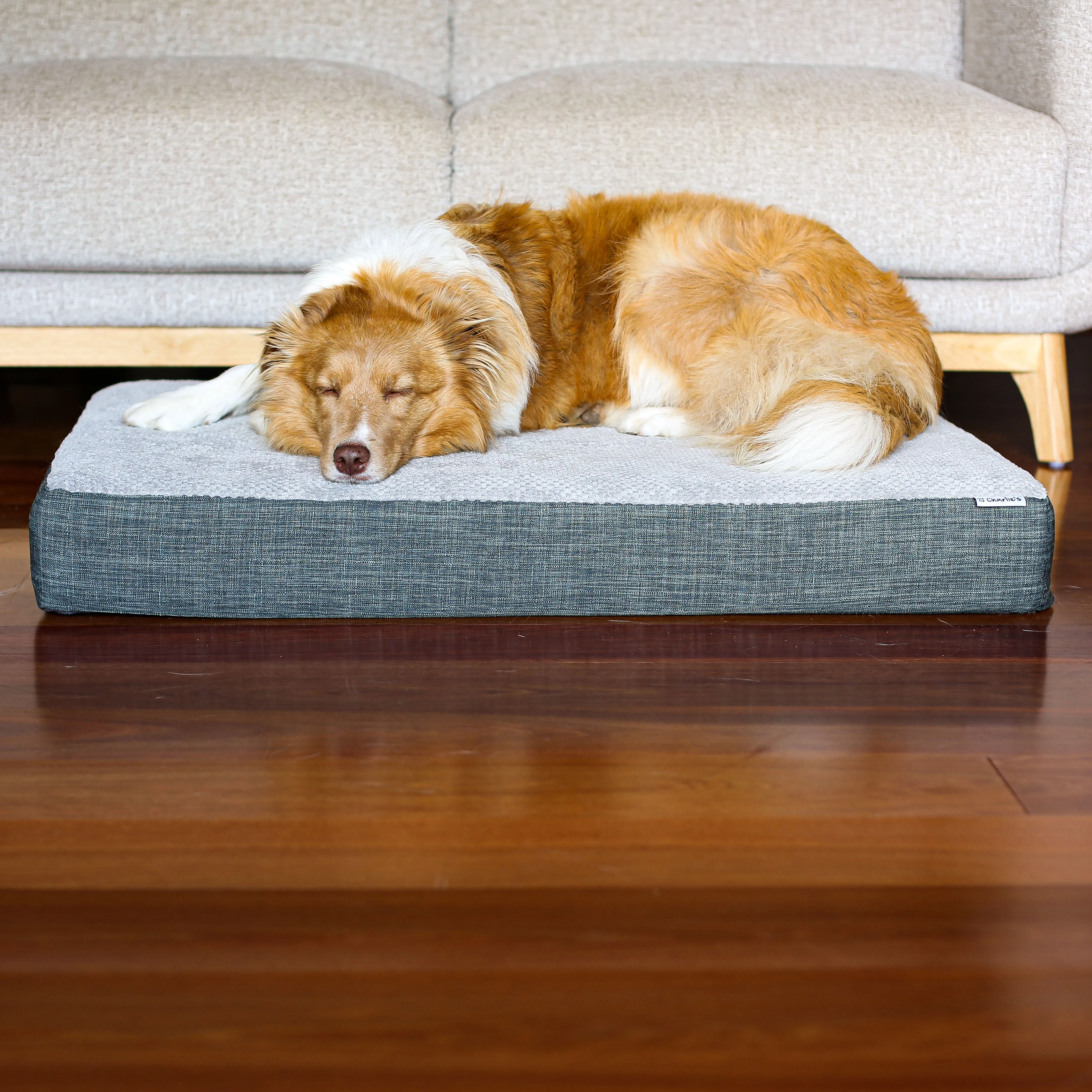 Universal Pet Mattress