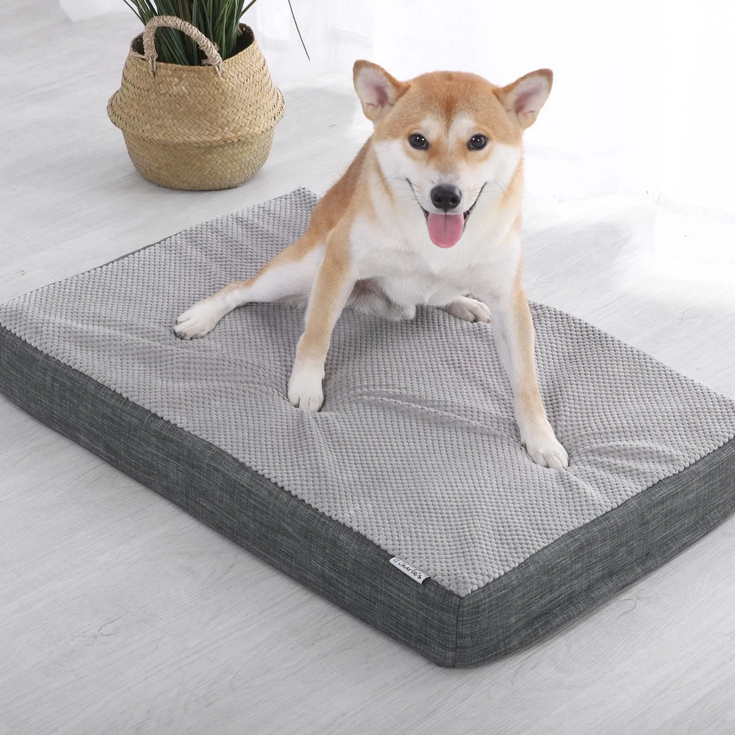 Universal Pet Mattress