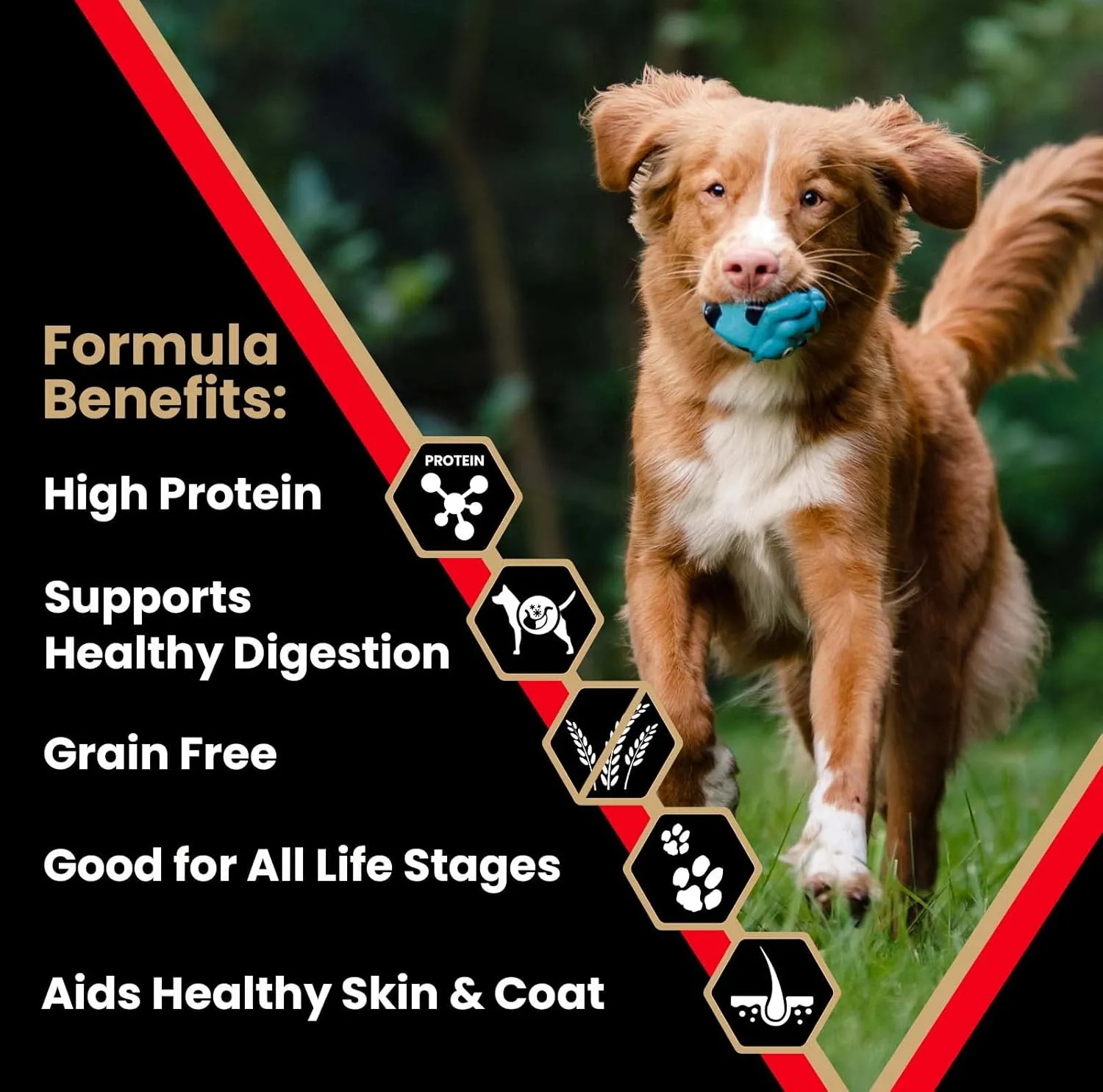 VICTOR Super Premium Dog Food  High Protein Grain Free Active Dog & Puppy Kibble  Dry Food with 33% Protein, Gluten-Free - Premium Beef, Pork, Fish Meals for High Energy Dogs, 5lbs