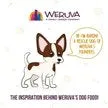 Weruva Jammin' Salmon with Chicken & Salmon in Pumpkin Soup Grain-Free Canned Dog Food