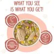 Weruva Jammin' Salmon with Chicken & Salmon in Pumpkin Soup Grain-Free Canned Dog Food