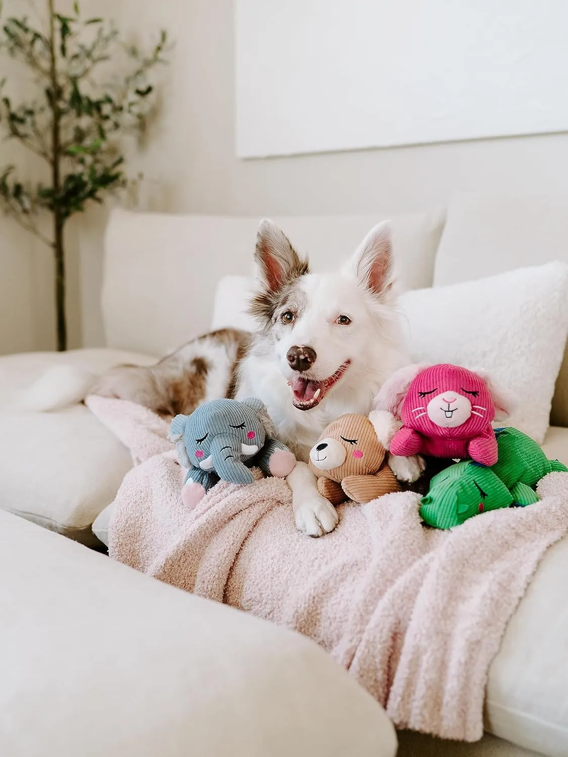 ZippyPaws Snooziez with Shhhqueaker - Bear Dog Toy with Silent Squeakers, Quiet Puppy Toys for Boy and Girl Dogs, Small Plush Dog Gifts